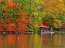 Park Centralny jesienią, Nowy Jork, USA