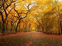 Central Park en otoño, Nueva York, EE.UU.